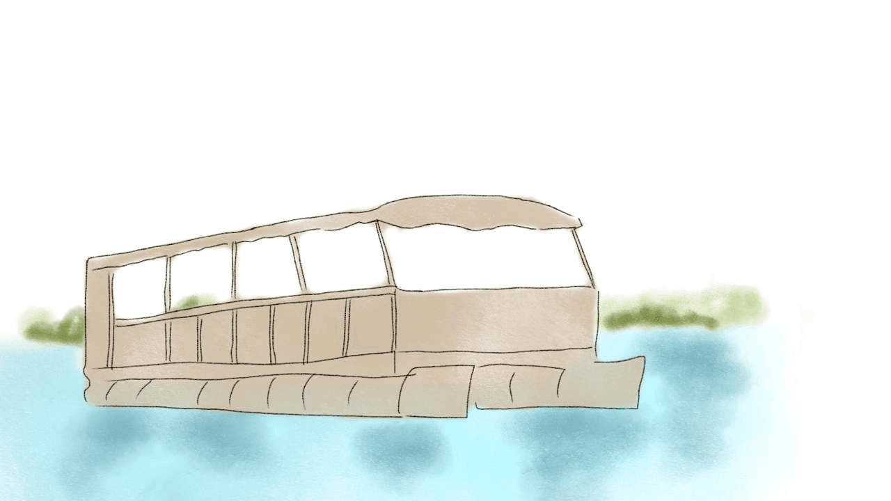 Safari en barco